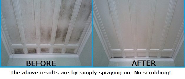 Curtain Magic Mould Remover Spray Blink Gone